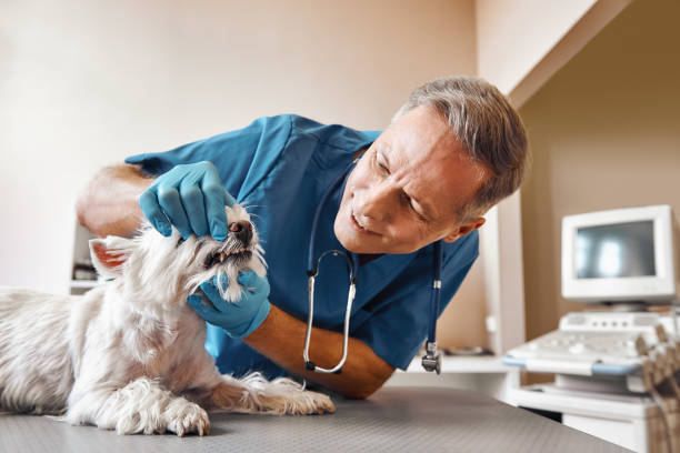 Best Pediatric Emergency Dentist in Wynnewood, OK