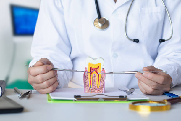 Best Emergency Orthodontic Repairs in Wynnewood, OK